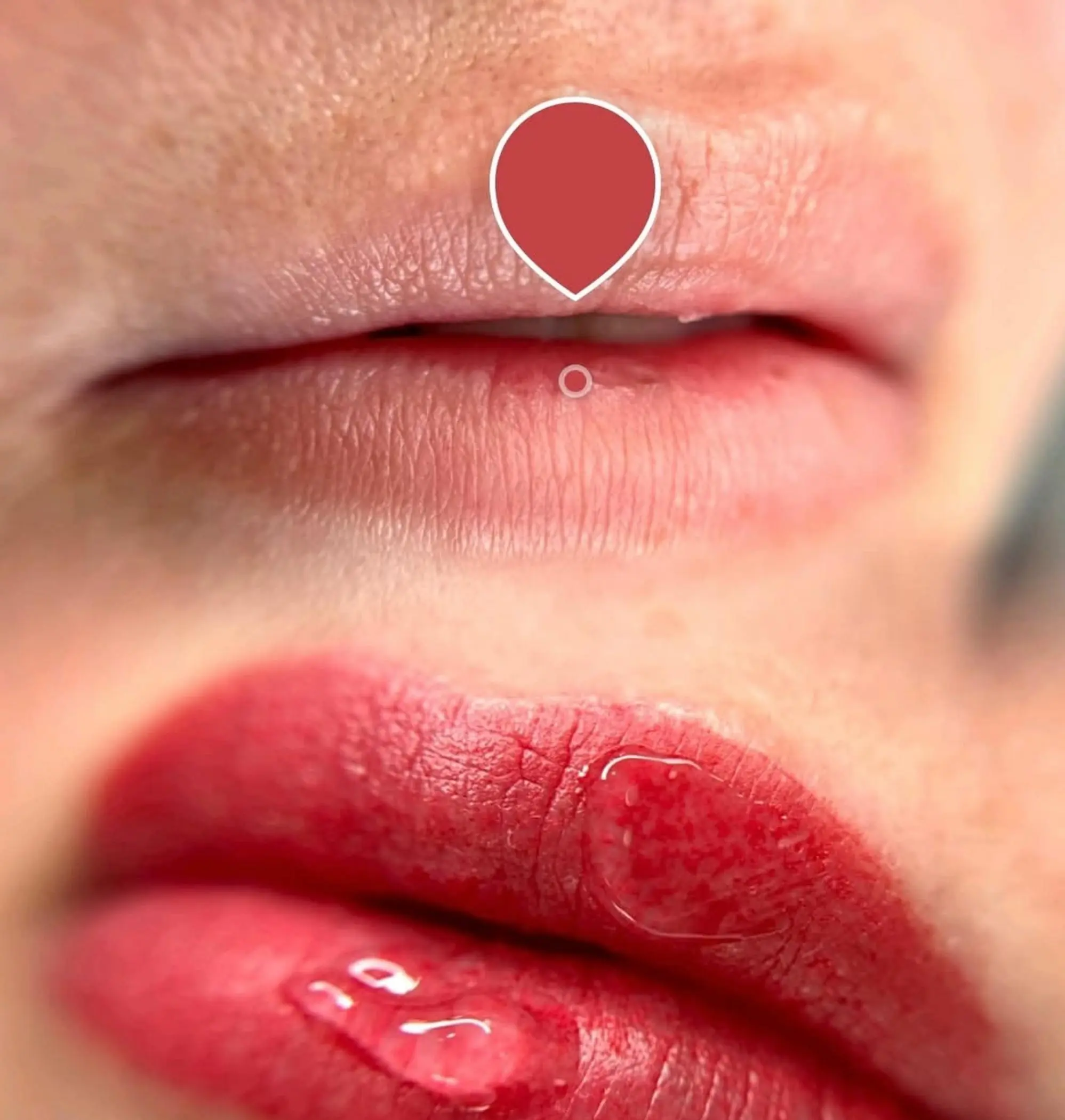 natural looking healed lip tattoo